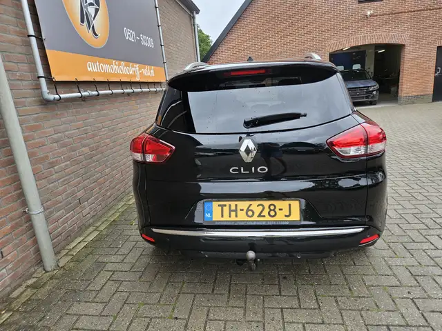 Renault Clio view 29