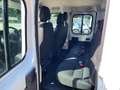 Fiat Ducato 35 2.2 Mjt 180CV XLH1 Doppia Cabina Casson Bianco - thumbnail 11