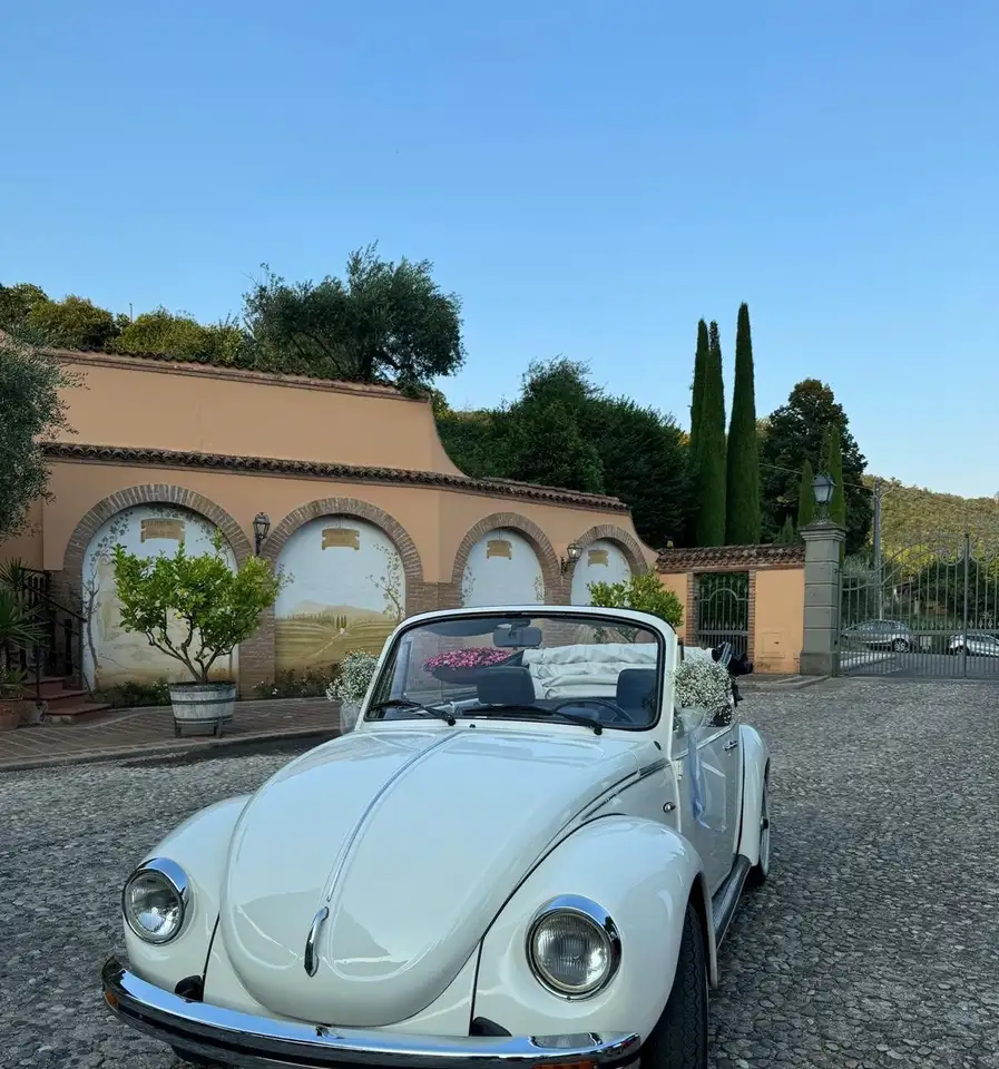 Volkswagen Maggiolino Cabrio, foto 4