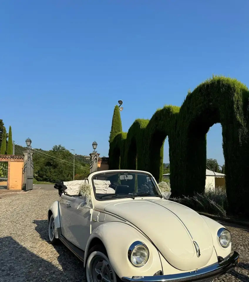 Volkswagen Maggiolino Cabrio, foto 6