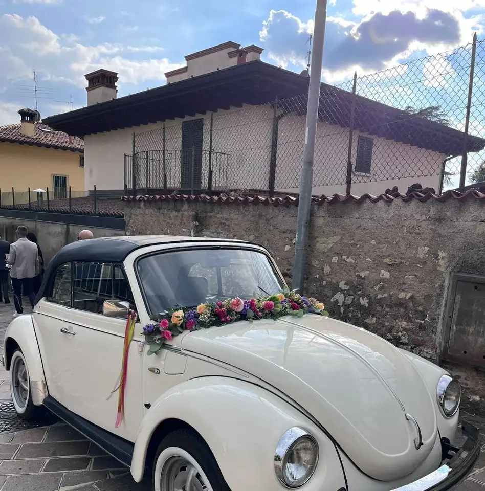Volkswagen Maggiolino Cabrio, foto 3