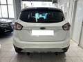 Ford Kuga 2.0 TDCi 136 CV 4WD Titanium DPF Bianco - thumbnail 6