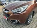 Hyundai iX35 Cup Edition 1.Hand SHZ Temp PDC TÜV NEU Brun - thumbnail 8