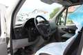 Mercedes-Benz Sprinter 316 CDI Promowagen/Eventwagen Wit - thumbnail 8