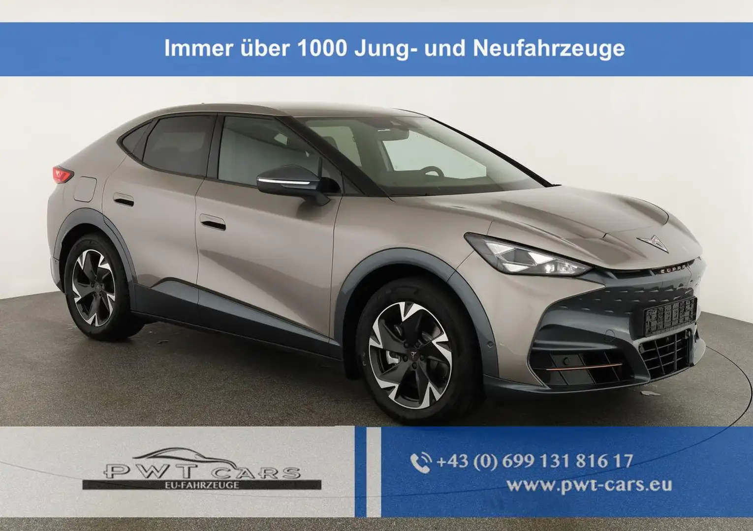 CUPRA Tavascan 210 kW Endurance Endurance, Navi, Wärmepumpe, K... Beige - 1