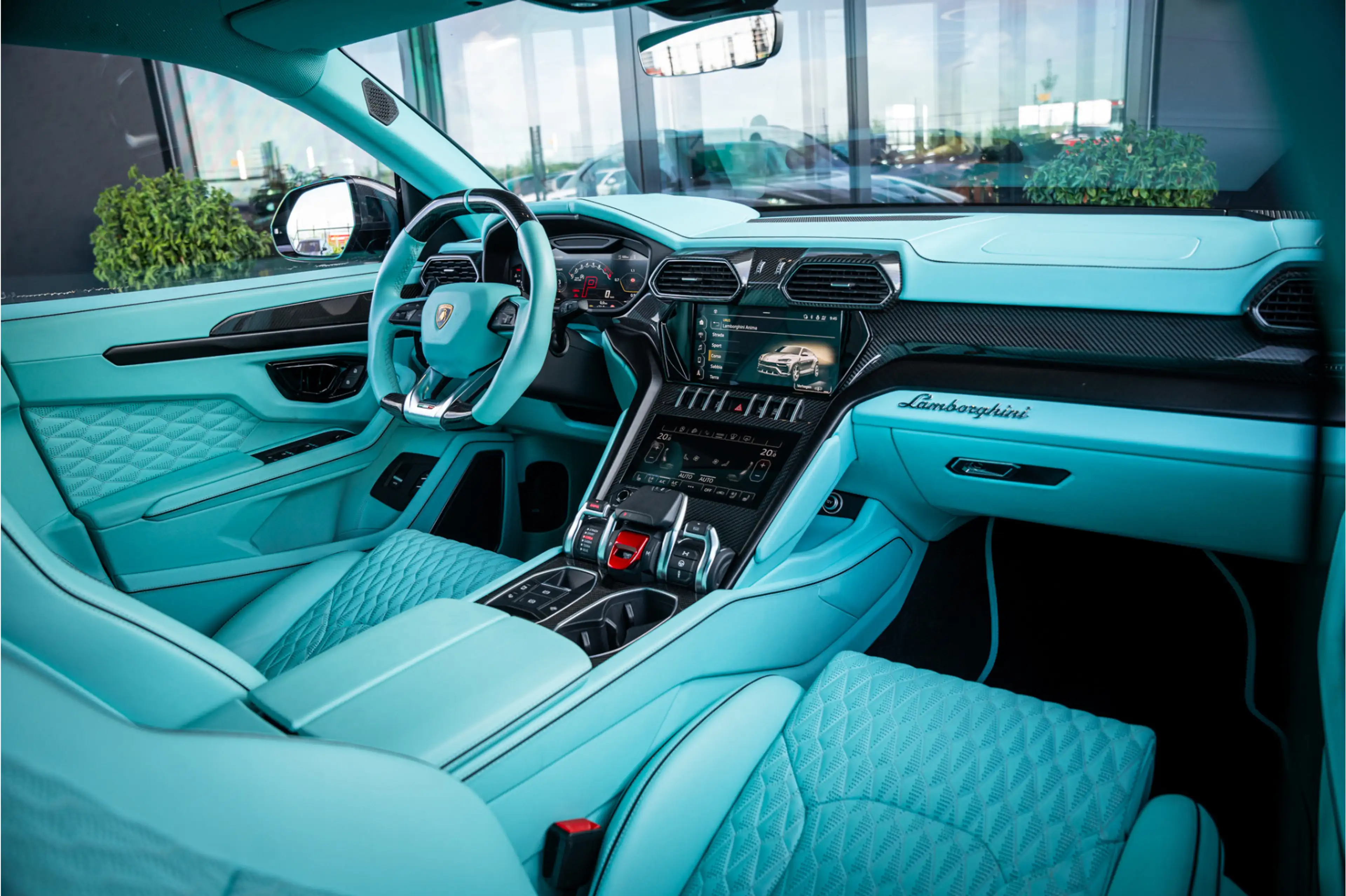 Lamborghini Urus Mansory 4.0 V8 - Panorama | Sterrenhemel | Sensonu — photo 10
