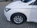 SEAT Ibiza 1.0 TSI Style LED Climatronic SH Weiß - thumbnail 12