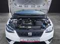 SEAT Ibiza 1.0 TSI Style LED Climatronic SH Weiß - thumbnail 11