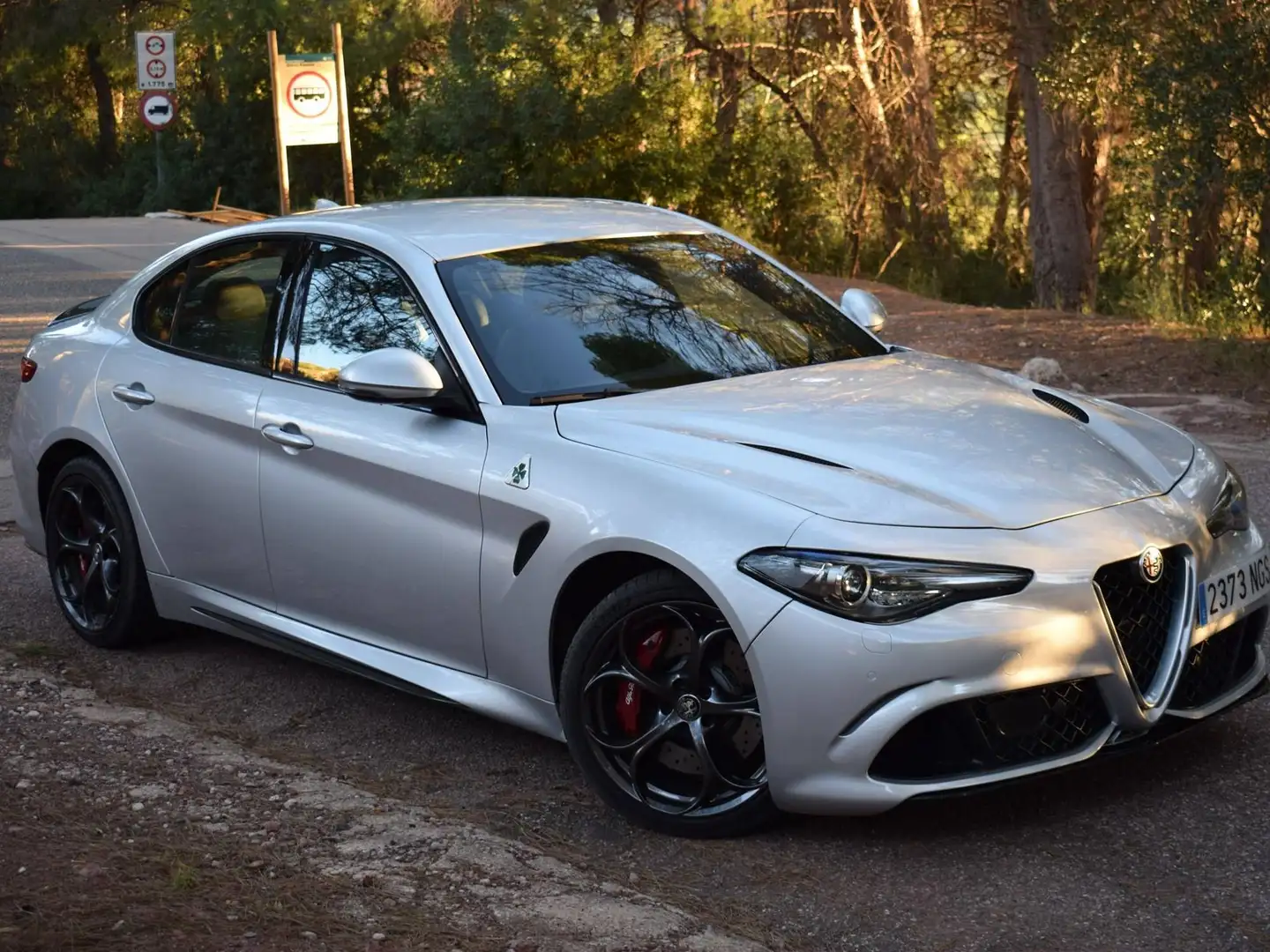 Alfa Romeo Giulia Giulia 2.9 T Quadrifoglio Aut. 510 Quadrifoglio Plateado - 2
