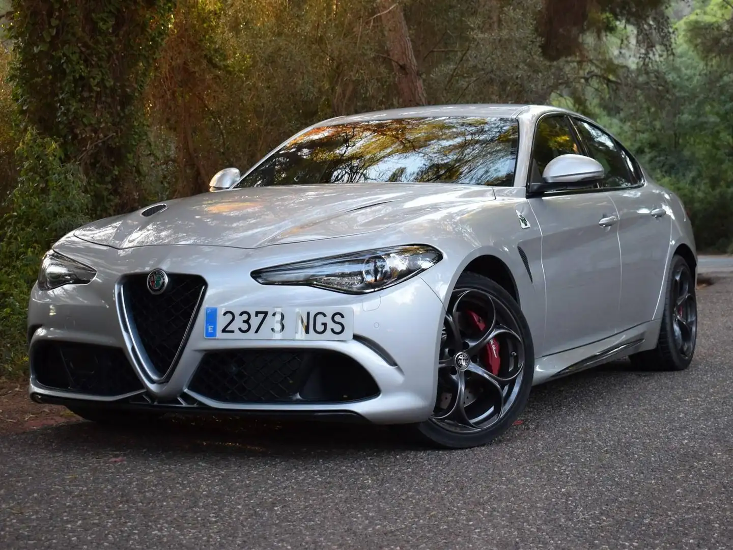 Alfa Romeo Giulia Giulia 2.9 T Quadrifoglio Aut. 510 Quadrifoglio Plateado - 1