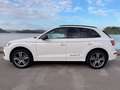 Audi Q5 2.0TDI Black line quattro-ultra S tronic 140kW Blanco - thumbnail 9