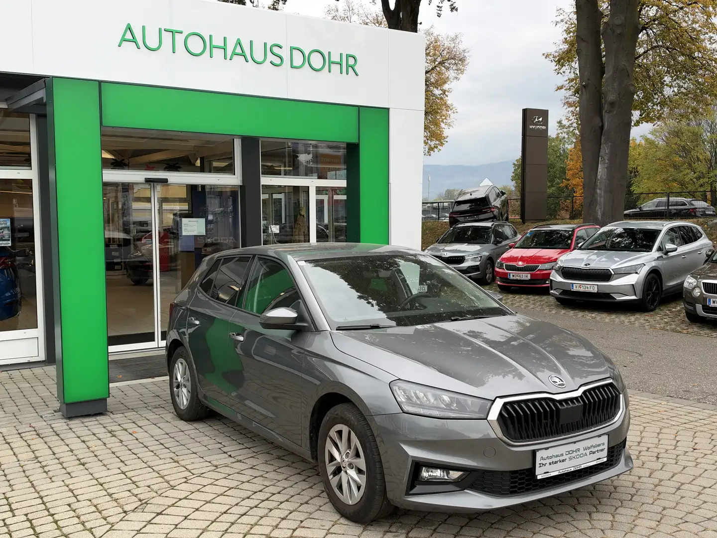 Skoda Fabia Selection Design 80PS Grau - 2