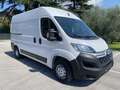 Citroen Jumper BlueHdi 35 L2H2 - Vuoi 36 piccole rate ?! Bianco - thumbnail 2