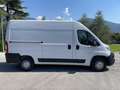 Citroen Jumper BlueHdi 35 L2H2 - Vuoi 36 piccole rate ?! Bianco - thumbnail 1