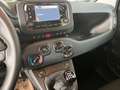 Fiat Panda 1.0 FireFly Hybrid Icon Pandina /PACK CITY+PARK Bianco - thumbnail 9