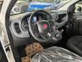 Fiat Panda 1.0 FireFly Hybrid Icon Pandina /PACK CITY+PARK Bianco - thumbnail 7