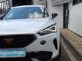 CUPRA Formentor 2,0 TDI 4Drive Cupra DSG Weiß - thumbnail 5