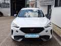 CUPRA Formentor 2,0 TDI 4Drive Cupra DSG Weiß - thumbnail 4