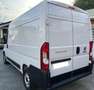 Fiat Ducato 35 2.2 140cv MH2 (L2H2)- passo medio tetto alto - Blanc - thumbnail 4
