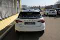 Skoda Fabia 1.0 TSI DSG Monte Carlo *APP*5J.Garantie* Weiß - thumbnail 6