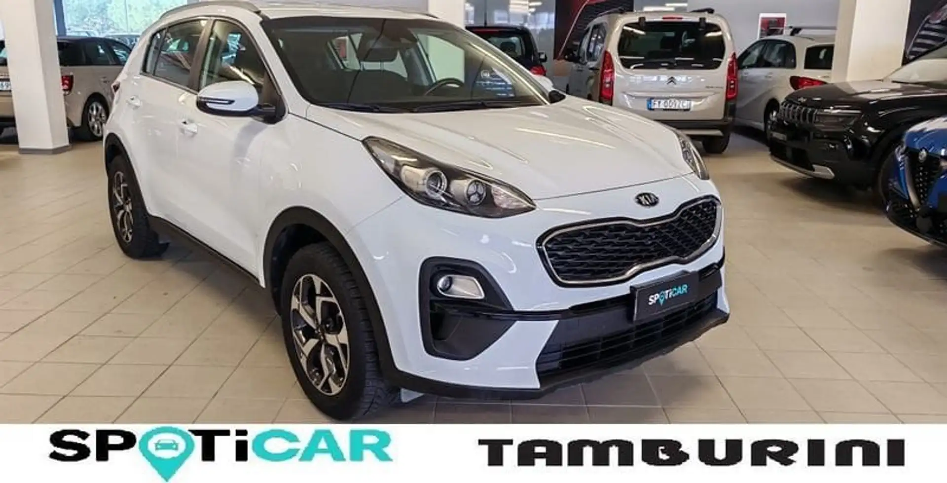 Kia Sportage 1.6 CRDI 115 CV 2WD Business Class Bianco - 1