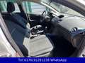 Ford Fiesta Trend !! 77TKM !! 4.Türer !! Tüv-Neu Silber - thumbnail 12