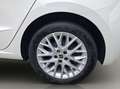 SEAT Ibiza FR Weiß - thumbnail 20