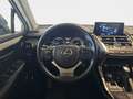 Lexus NX 300 300h Premium 2WD Grau - thumbnail 17