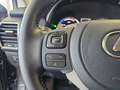 Lexus NX 300 300h Premium 2WD Grau - thumbnail 19