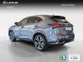 Lexus NX 300 300h Premium 2WD Grau - thumbnail 6