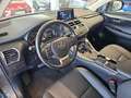 Lexus NX 300 300h Premium 2WD Grau - thumbnail 11