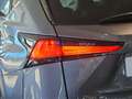 Lexus NX 300 300h Premium 2WD Grau - thumbnail 41