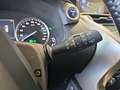 Lexus NX 300 300h Premium 2WD Grau - thumbnail 21