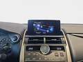 Lexus NX 300 300h Premium 2WD Grau - thumbnail 26