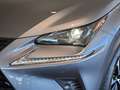 Lexus NX 300 300h Premium 2WD Grau - thumbnail 40