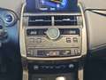 Lexus NX 300 300h Premium 2WD Grau - thumbnail 27