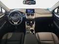 Lexus NX 300 300h Premium 2WD Grau - thumbnail 16