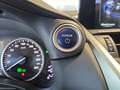 Lexus NX 300 300h Premium 2WD Grau - thumbnail 22