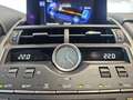Lexus NX 300 300h Premium 2WD Grau - thumbnail 28