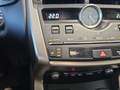 Lexus NX 300 300h Premium 2WD Grau - thumbnail 30