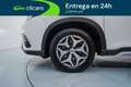 Subaru Forester 2.0i Hybrid Limited Edition CVT Blanco - thumbnail 11