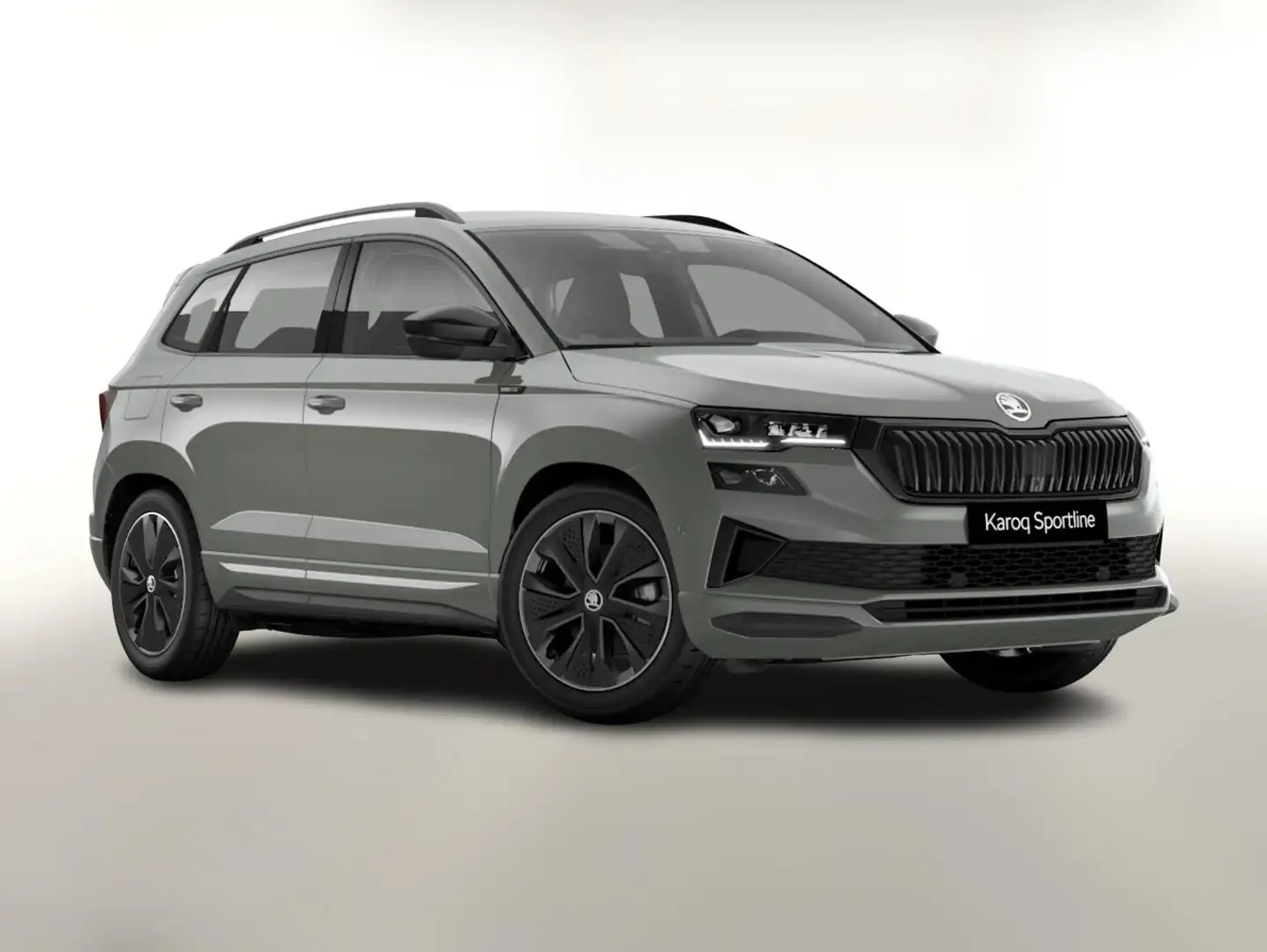 Skoda Karoq Sportline TSI 150 DSG Sportl Matrix Nav 360° Ca... Gris - 1