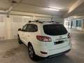 Hyundai SANTA FE (143.500 km) Hyundai Santa Fe 2.2 - 7 Posti Alb - thumbnail 1