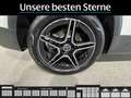 Mercedes-Benz GLB 250 GLB 250 AMG-Line*FAP*Cam*Easy-Pack*Ambientelicht Weiß - thumbnail 12