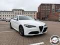 Alfa Romeo Giulia 2.2 Turbodiesel 180 CV AT8 Super Blanc - thumbnail 2