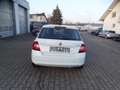 Skoda Fabia 1,2l TSI Red & Grey,Klima Weiß - thumbnail 9