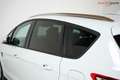 Ford S-Max Trend Autom. *RFK*WINTER-P*NAVI*TEMPO* Bianco - thumbnail 15