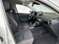 Mazda 2 1.5L e-SKYACTIV G 115ps EXCLUSIVE-LINE DRAS Blanc - thumbnail 7