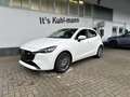Mazda 2 1.5L e-SKYACTIV G 115ps EXCLUSIVE-LINE DRAS Blanc - thumbnail 1