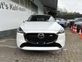 Mazda 2 1.5L e-SKYACTIV G 115ps EXCLUSIVE-LINE DRAS Blanc - thumbnail 2